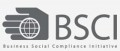 BSCI Social Audit